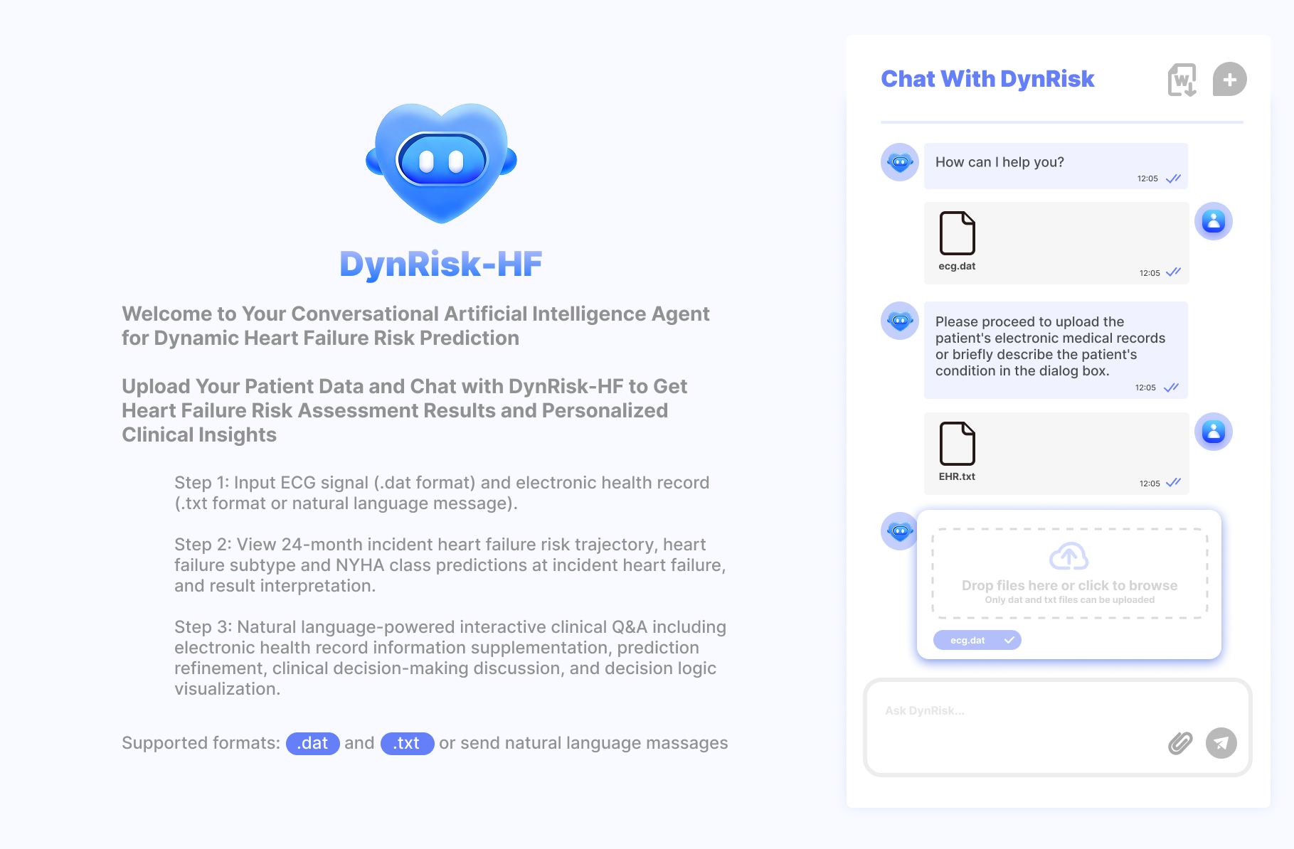 DynRisk-HF Interface
